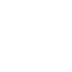Guerilla  
